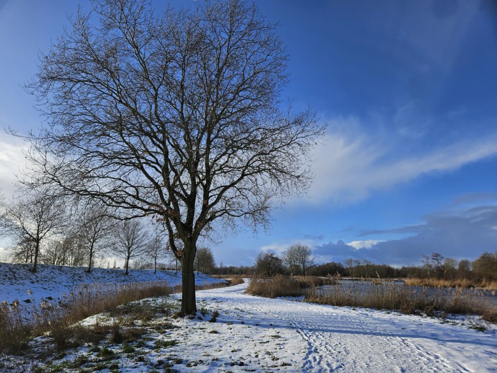 Slingerende weg in de natuur. 