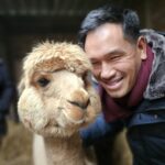 Een bezoeker glimlacht naast een nieuwsgierige alpaca op een boerderij in Friesland.
