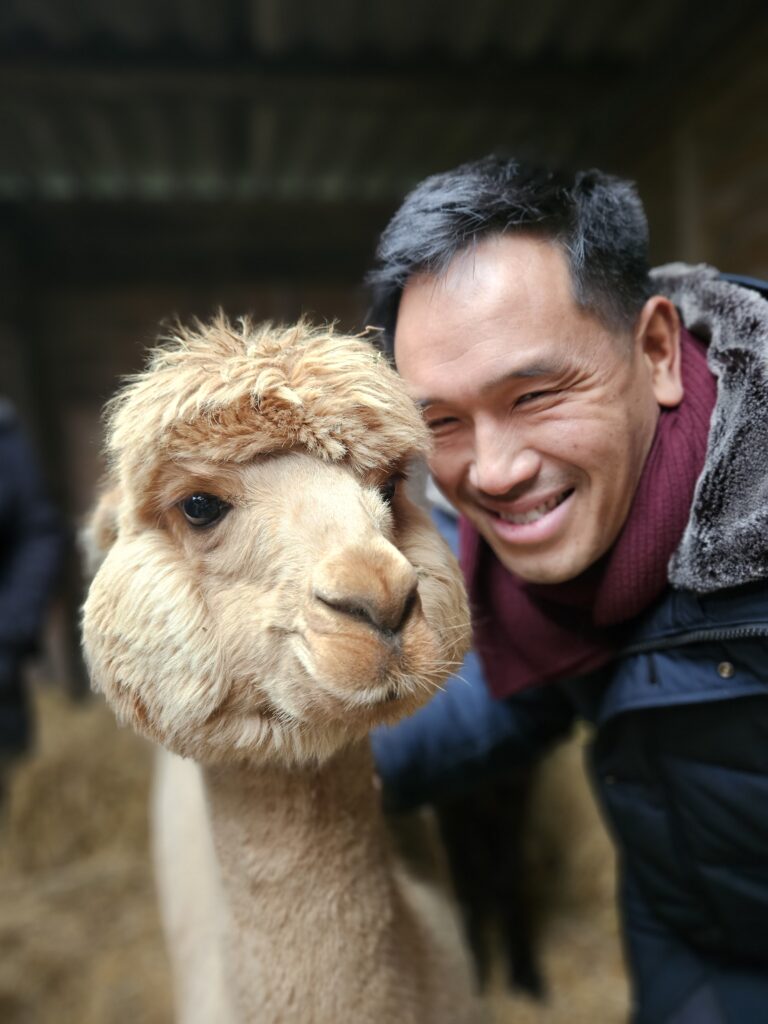 Een bezoeker glimlacht naast een nieuwsgierige alpaca op een boerderij in Friesland.